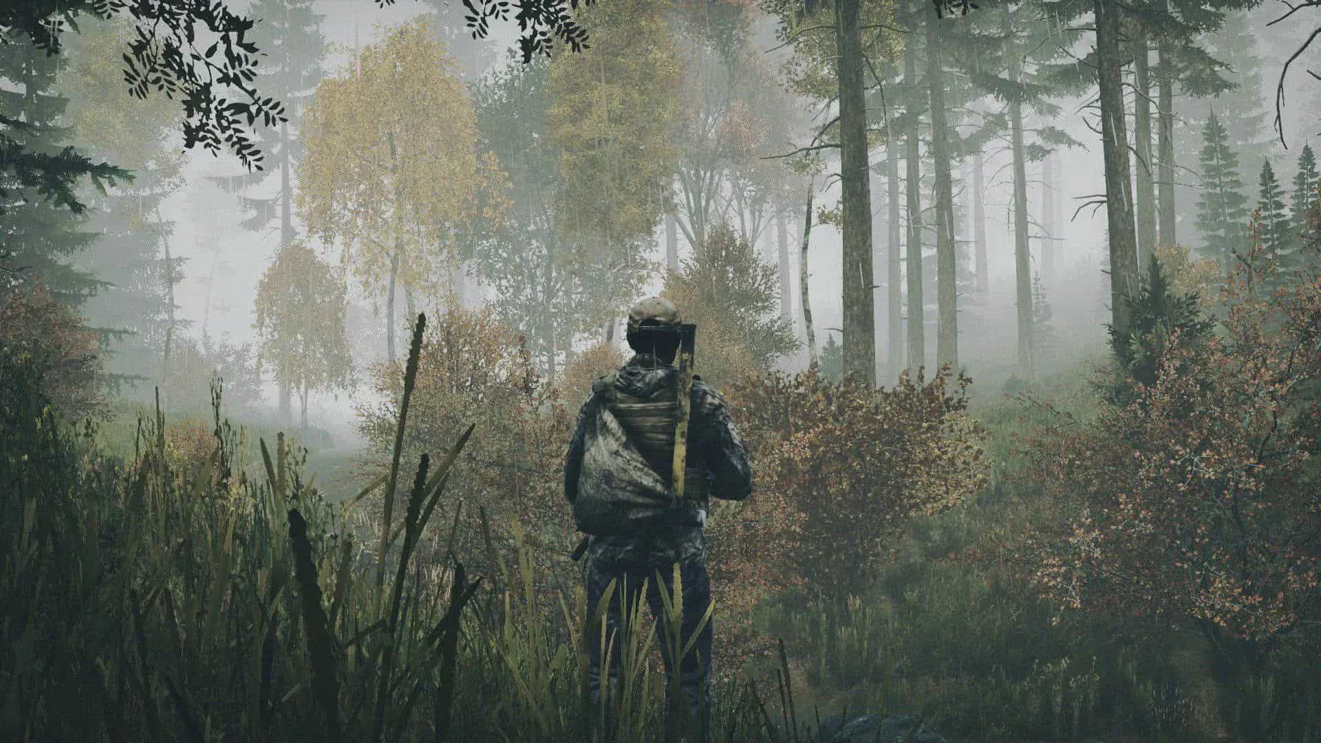 DayZ server hosting background